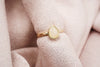 Pyrus Ring
