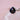 Pyrus Ring