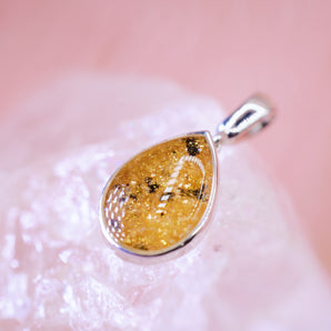 Pyrus pendant