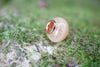 Loved one's curl keepsake bead
