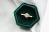 Cremation ashes ring in solid gold