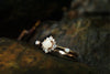 Stardust ring with optional custom gemstones